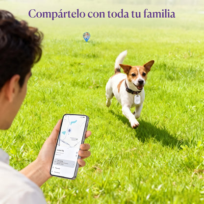 Findax en el collar del perro, compártelo con toda la familia